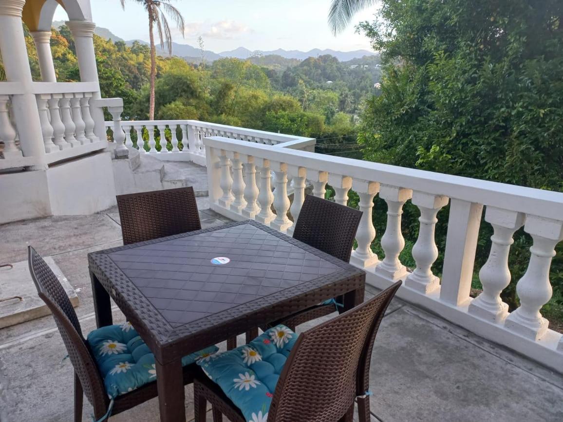 Hotel Red Hassell Manor Port Antonio Exterior foto